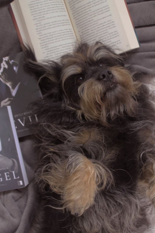 III miejsce PSIA ESTETYKA